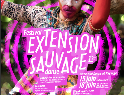 Festival Extension Sauvage #13 – dimanche 16 juin